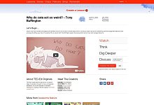 Warum Katzen tun, was Katzen tun - Foto: ed.ted.com