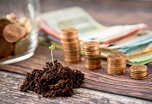 Nachhaltigkeit nimmt an Bedeutung zu - Foto: Christin Klose/dpa-tmn