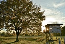 Von der Kulturstiftung gef&ouml;rdert: - FOTO: GERALD PAETZER