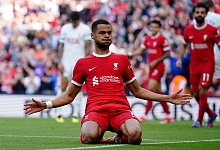 Cody Gakpo - Peter Byrne/PA Wire/dpa