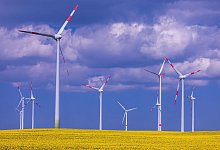 Windparks - Jens Büttner/dpa
