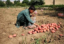 EU-Staaten stimmen f&uuml;r Lieferkettengesetz - Saifurahman Safi/Xinhua/dpa