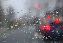 Nasskaltes Wetter - Wolfgang Kumm/dpa