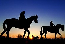 Ausritt am Abend - Foto: Patrick Pleul/dpa