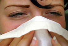 Schnupfen - Foto: Patrick Pleul