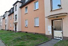 Entwischte Kobra in Herne - Foto: Caroline Seidel