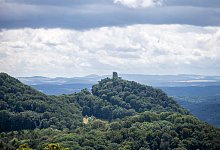Wald in Nordrhein-Westfalen - Thomas Banneyer/dpa/Archivbild