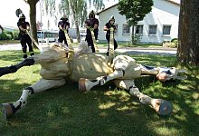 Die Feuerwehrleute bewegen &bdquo;Hengst Sam&ldquo; mit breiten Gurtb&auml;ndern. - Feuerwehr