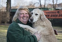 Hunde-DNA - Foto: Robert G&uuml;nther/dpa-tmn