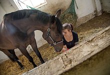 Welche Rolle spielt der Wert eines Pferdes bei einer Verletzung? - Christin Klose/dpa-tmn