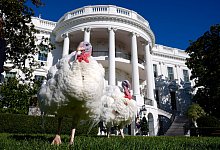 US-Pr&auml;sident Biden begnadigt Truth&auml;hne zum Erntedankfest - Susan Walsh/AP