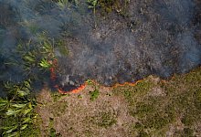 Feuer im Amazonas-Gebiet - Fernando Souza/ZUMA Press Wire/dpa
