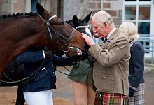 K&ouml;nig Charles l&auml;sst 14 Pferde der Queen verkaufen - Andrew Milligan/Pool via AP/dpa