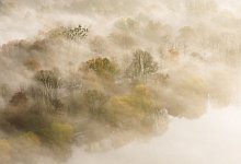 Nebelfelder liegen zwischen B&auml;umen am Maschsee - Julian Stratenschulte/dpa/dpa-tmn