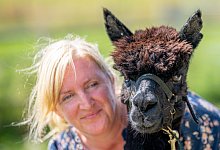 Alpaka Geronimo - Foto: Ben Birchall/PA Wire/dpa