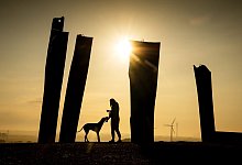 Eine Frau spielt mit ihrem Hund bei Sonnenaufgang - Sina Schuldt/dpa/dpa-tmn