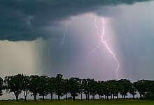 urn:newsml:dpa.com:20090101:250531-935-621698 - 1 - Patrick Pleul/dpa