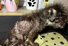 img-20251017-wa0013 - 1 - Sven Kienscherf