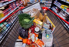 urn:newsml:dpa.com:20090101:241219-935-376151 - Rolf Vennenbernd/dpa