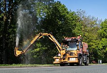 Einsatz gegen Eichenprozessionsspinner beginnt - Jonas Güttler/dpa/Archivbild