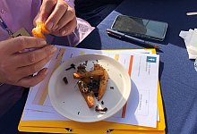 Pommes-Weltmeisterschaft in Frankreich - Michael Evers/dpa