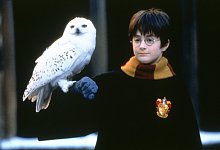 J.K. Rowling - picture alliance/United Archives