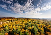 Teutoburger Wald - Torben Gocke