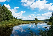 Haliburton Forest mit See - Andreas Drouve/dpa-tmn