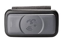 GPS-Tracker f&uuml;r Tiere: Auch g&uuml;nstige Ger&auml;te funktionieren gut - Stiftung Warentest/Stiftung Warentest/dpa