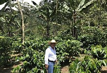 Kaffeebauer Jose de Leon - Foto: Nick Kaiser