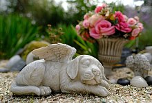 Tiergrab - Markus Hibbeler/dpa-tmn