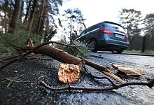 Sturm "Sabine" - Vera Gerstendorf-Welle