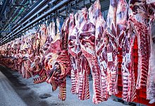 Schlachtbetrieb Danish Crown - Jens Büttner/dpa