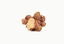 Topinamburknolle - Foto: Andrea Warnecke/dpa-tmn