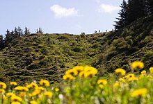 Wandern an der Jammerbucht - Foto: VisitJammerbugten