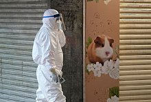 Coronavirus - Hongkong - Foto: Kin Cheung/AP/dpa