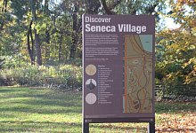 Black Panther im Central Park - Foto: Christina Horsten/dpa