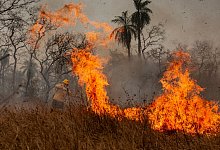 Indigene Feuerwehrleute k&auml;mpfen in Brasilien um ihr Territorium - Diego Cardoso/dpa