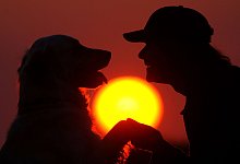 Hunde k&ouml;nnen einer neuen Studie zufolge auch Freudentr&auml;nen produzieren. - Patrick Pleul/dpa-Zentralbild/dpa
