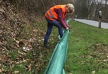 Froschzaun - Axel B&uuml;rger