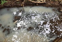 Aschbach - Peter V&ouml;lmeke/Kreis Lippe