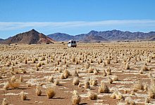 Kleinbus fährt durch eine Wüste in Namibia - Detlef Berg/dpa-tmn