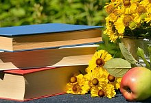 books-1757734 - Symbolbild: Pixabay