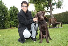 Hundesteuer - Wolfgang Becker