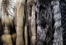 Pelze - Foto: Daniel Reinhardt