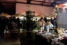 1957b6dc-6459-4943-ade1-348e76143f3b-img_2556 - Luca-Marie Dröge