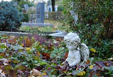 Friedhof Steinheimer Straße Horn - Jost Wolf