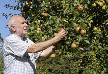 Streuobstwiese Lemgo - 1 - Alexandra Schaller/Archivfoto