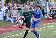 Schlangen - Oesterholz-Kohlst&auml;dt - Paul Cohen