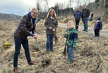 Blomberg pflanzt - Seda Hagemann